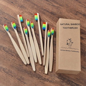 Colorful Eco Bamboo Toothbrush Set