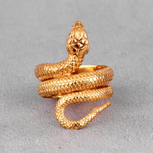 Load image into Gallery viewer, Gold and Silver Coiled Snake Ring